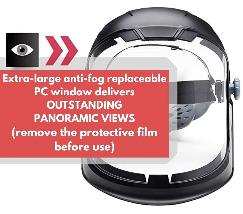 Face Guard: image 8