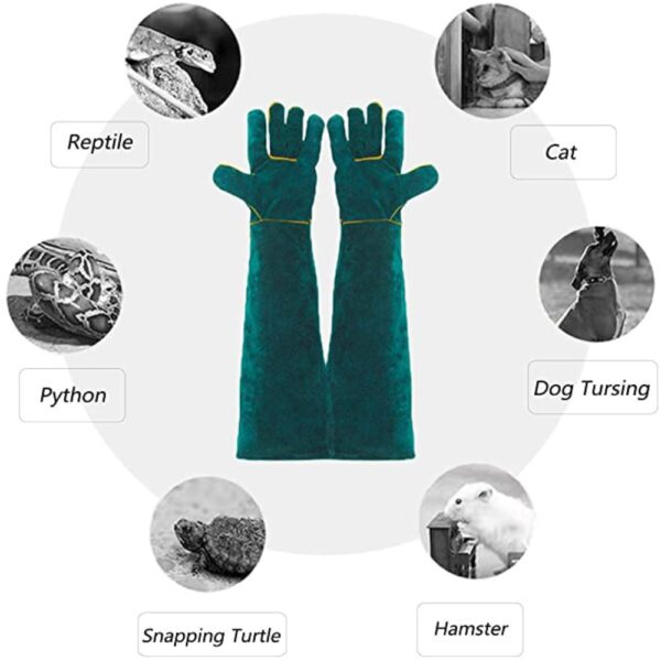 buy bite proof gloves online