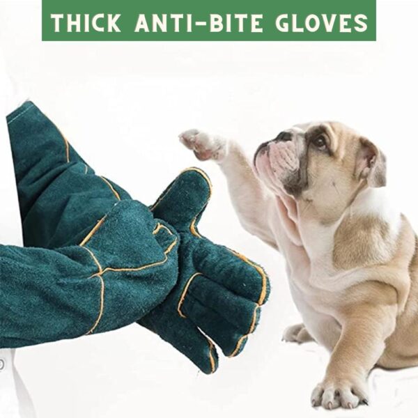 buy bite proof pet glove online